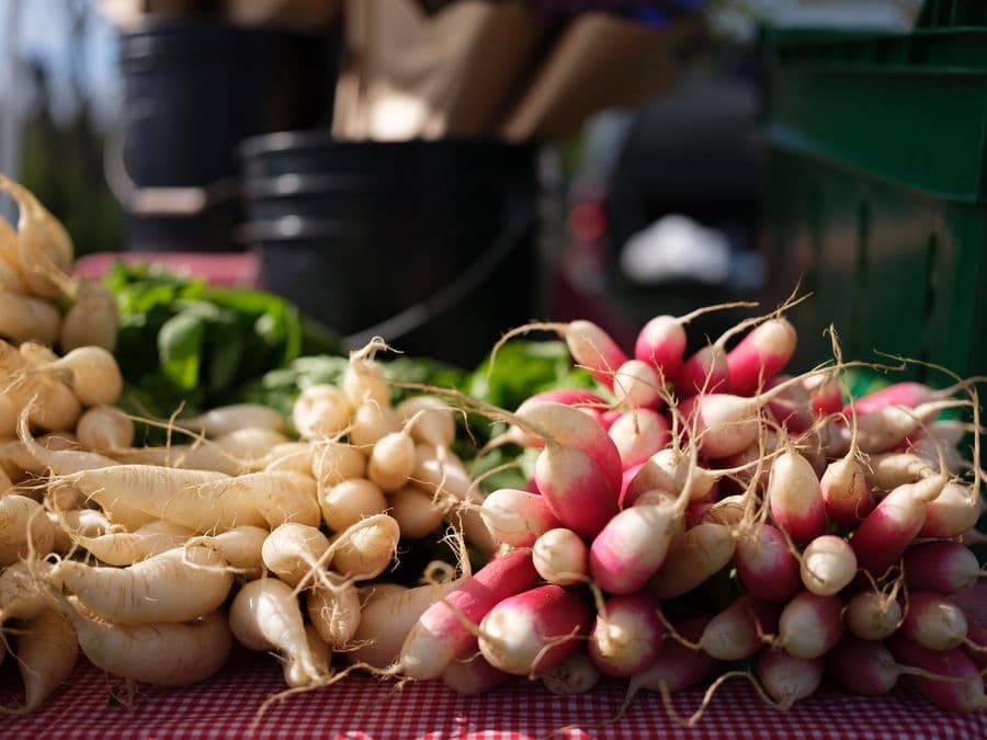 Granville Farmers Market