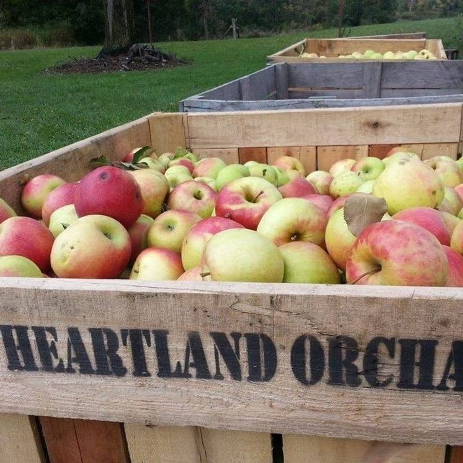 Heartland Orchard
