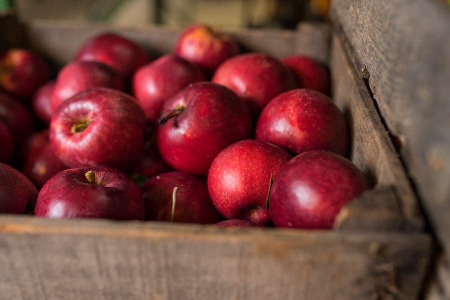 Legend Hills Orchard