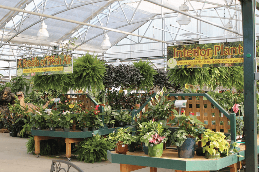 Wilson’s Garden Center